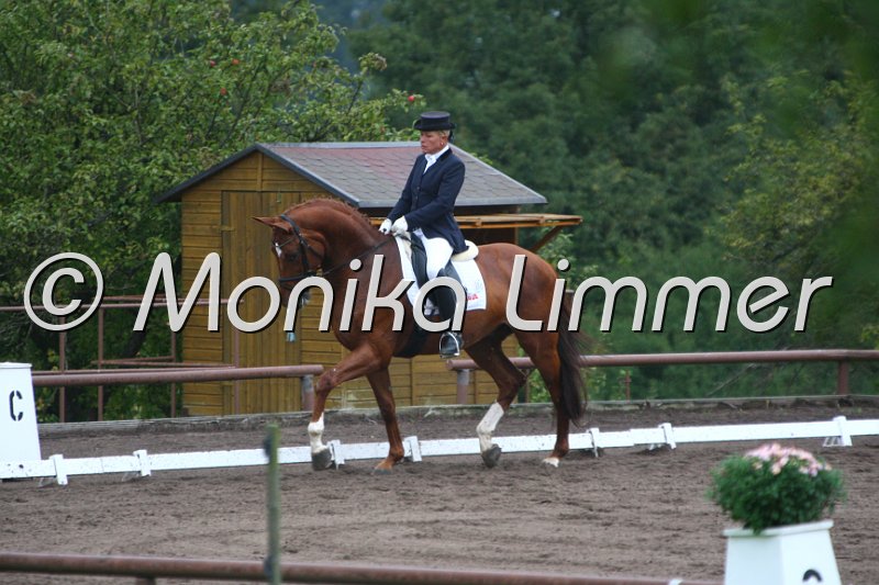 009M8475_L esprit_Dressurpf A.JPG